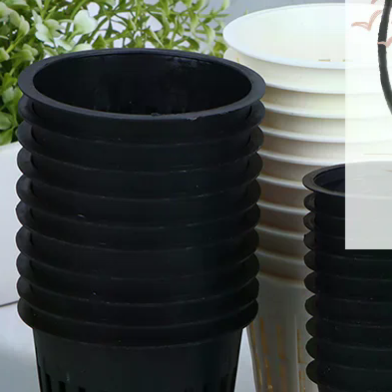 10Pcs 2 Inch 3 Inch Grow Orchi - Net Pot 3 Inch 评论和价格