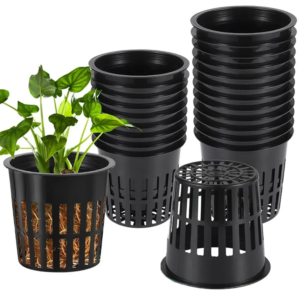 10pcs Black 3 Inch Nursery Pot - Net Pot 3 Inch 评论和价格