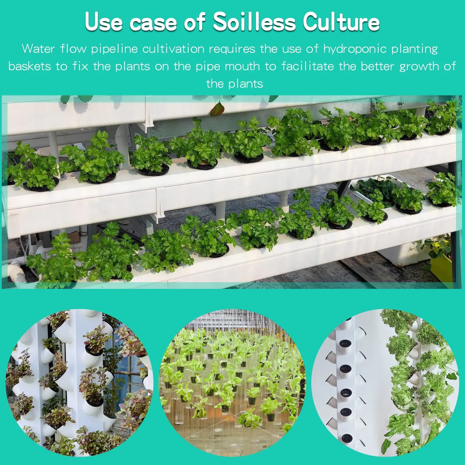 10PCS 3 Inch Hydroponics Cups  - Net Pot 3 Inch 评论和价格